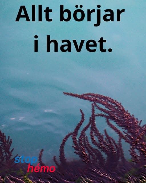 Allt börjar i havet.